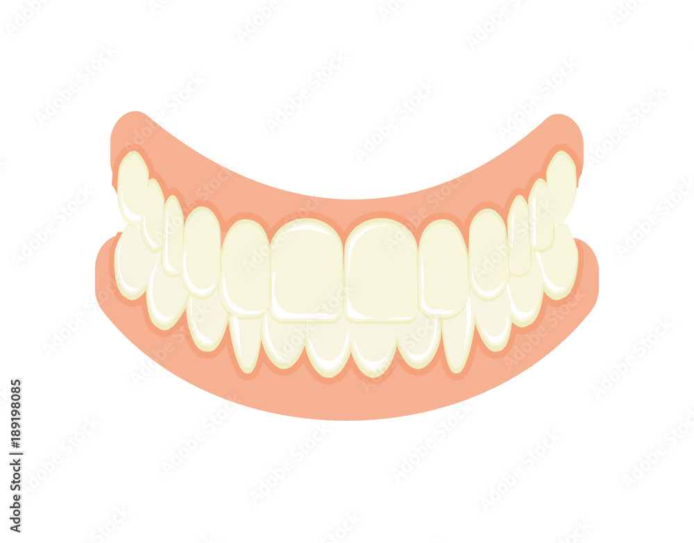 Set of false teeth. Implanted jaw. Set of false teeth. Implanted jaw.