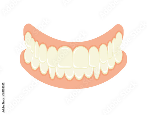 Set of false teeth. Implanted jaw.