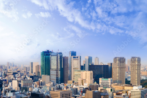 Landscape of tokyo city skyline in Aerial view with skyscraper  modern office building and blue sky background in Tokyo metropolis  Japan.