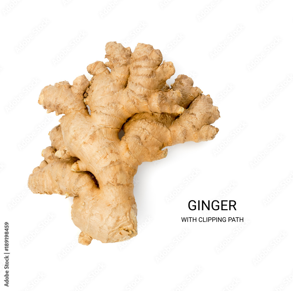 Fresh Whole Ginger Isolated Fresh Whole Ginger Isolated