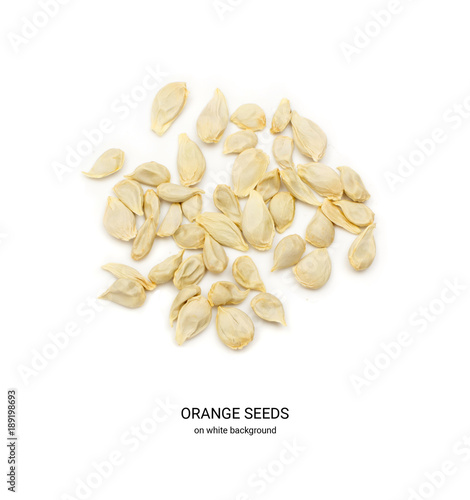 Orange and Mandarin Seeds photo