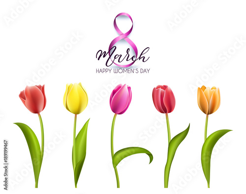 Spring text with tulip flower. Vector illustration EPS10