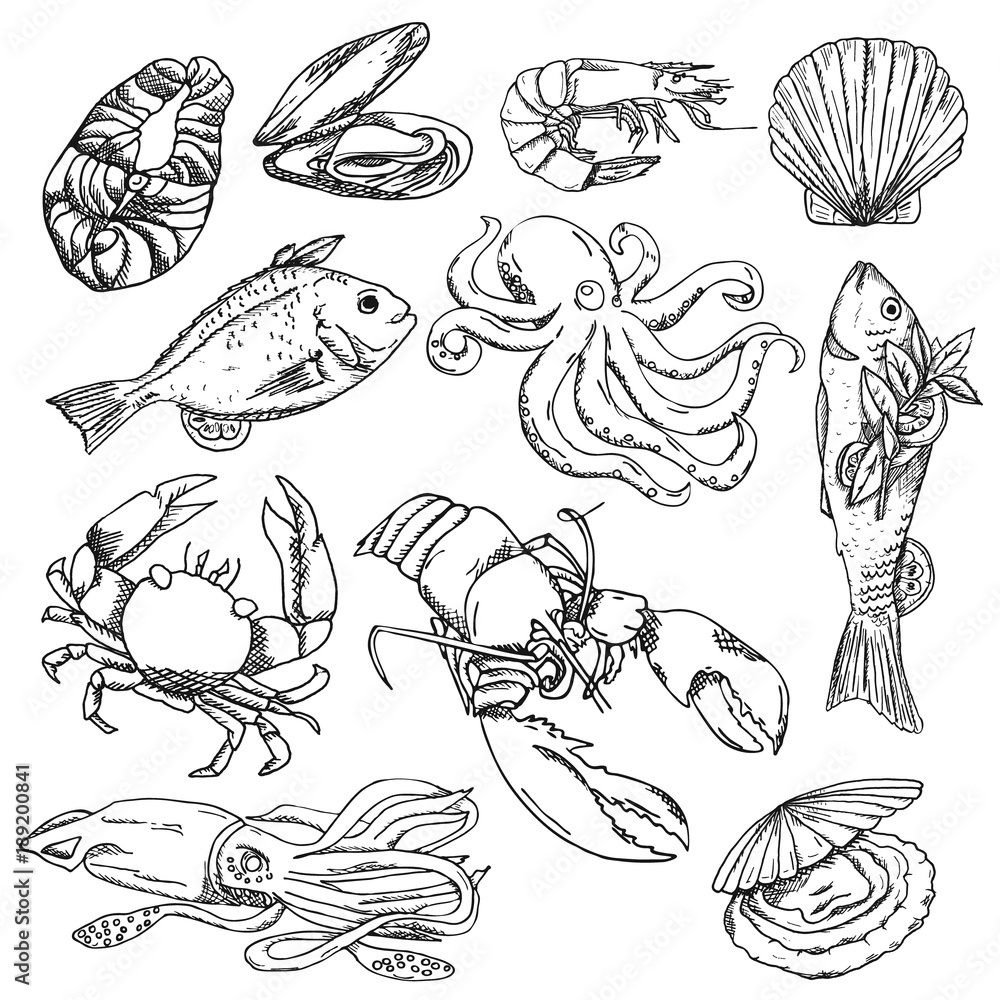 Vector illustration background, wallpaper, backdrop. Vintage hand drawn sketch. Collection of seafood