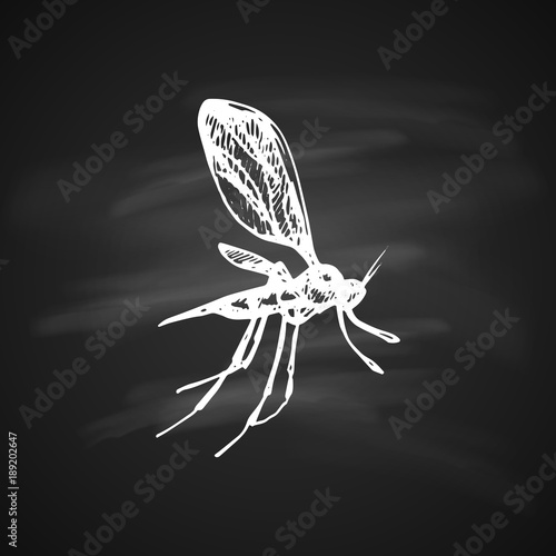 Mosquito Icon