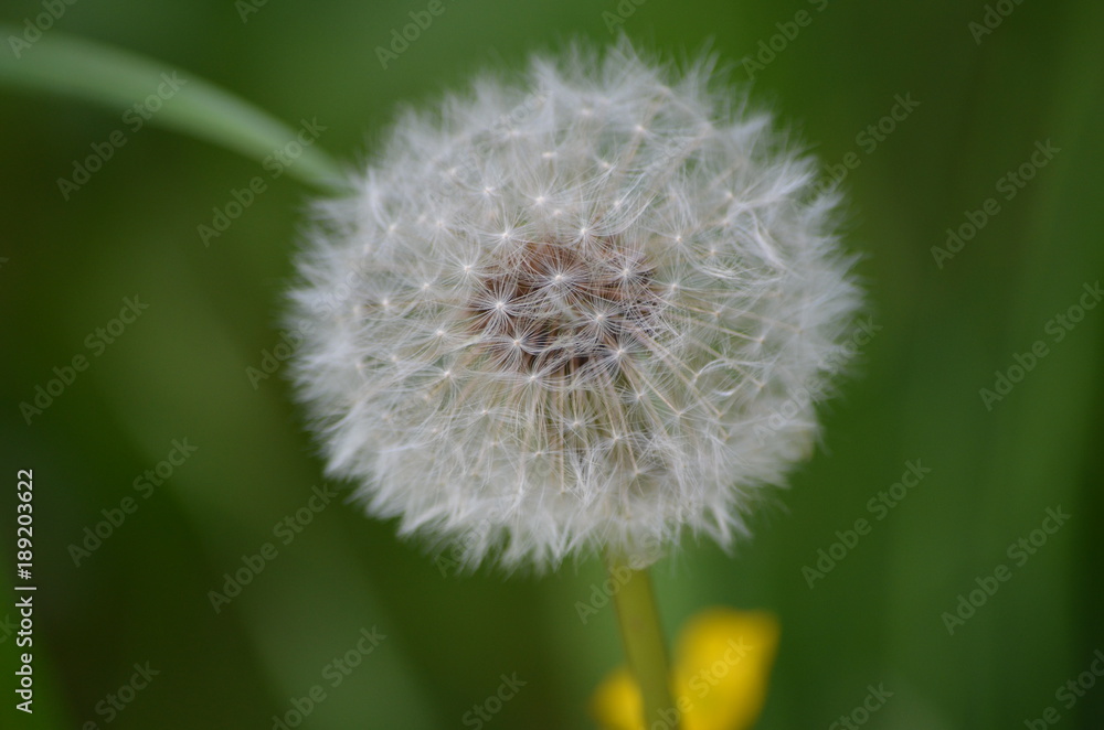 Obraz premium Tra cielo e terra