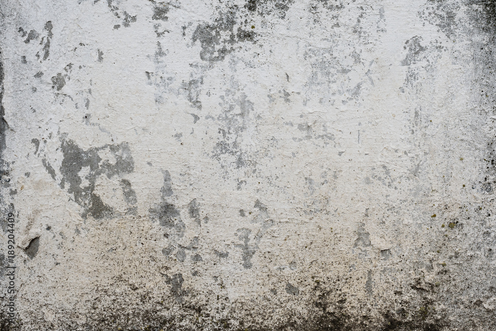 Wall fragment with scratches and cracks Wall fragment with scratches and cracks