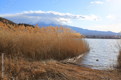 landsscape of mount fuji photo