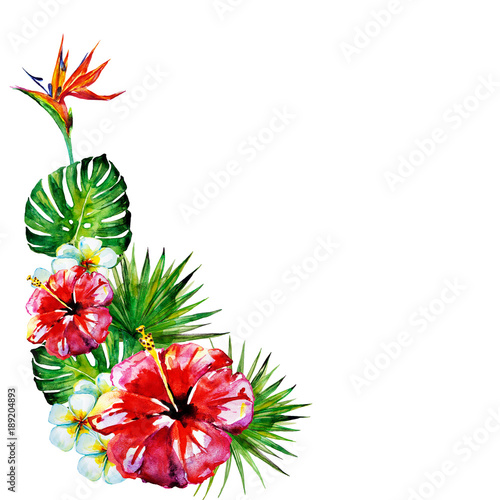 beautiful red flowers ,palm leaves, watercolor on a violet © aboard
