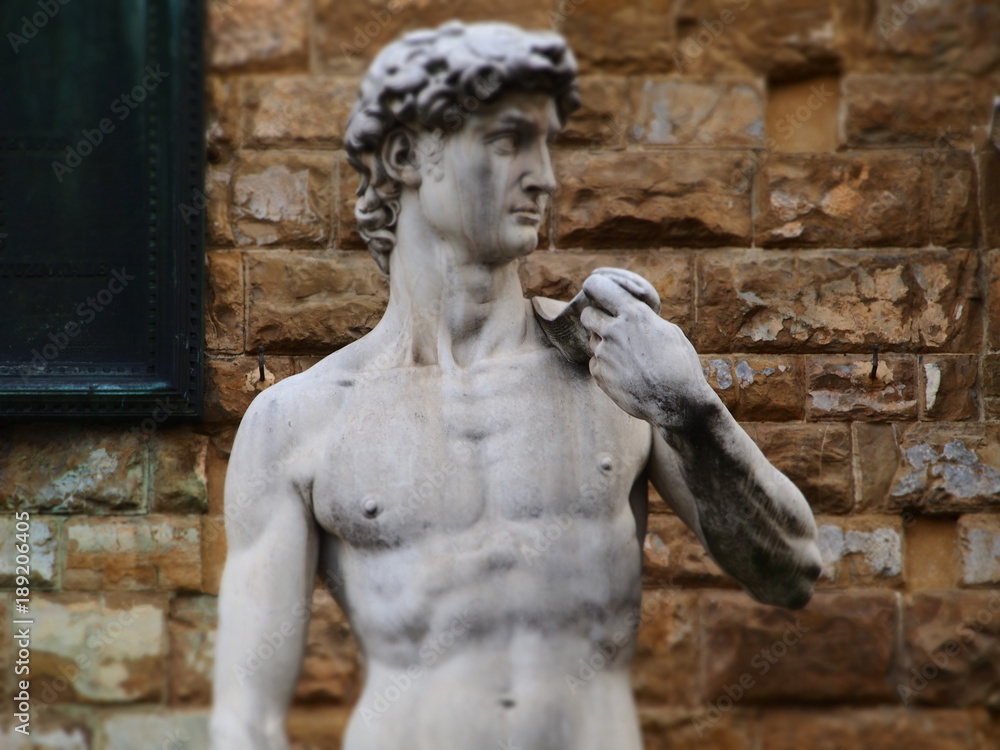 Italia, Toscana, Firenze,piazza della Signoria,copia del David di Michelangelo.