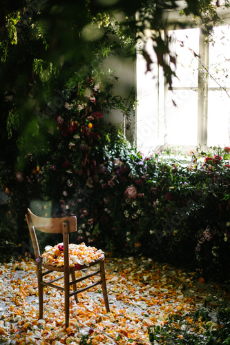 Fototapeta Naklejka Na Ścianę i Meble -  Wooden chair in a fairy environment covered with petals of flowers in front of a window