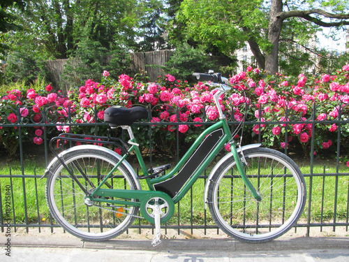 Road bike parked along a fence in front of a beautiful Parisian garden with pink roses