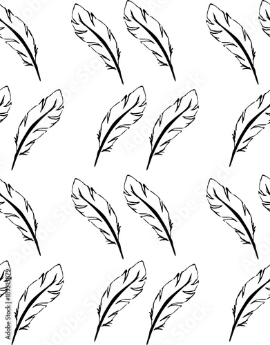 the simple pattern. feathers of a bird