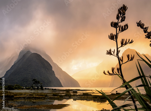 Milford sound in New Zealand