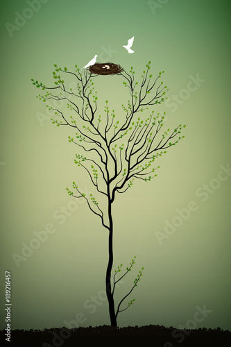 tree with nest and two white birds, elegance spring tree,