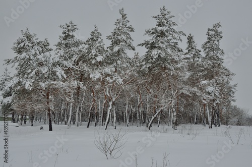 winter