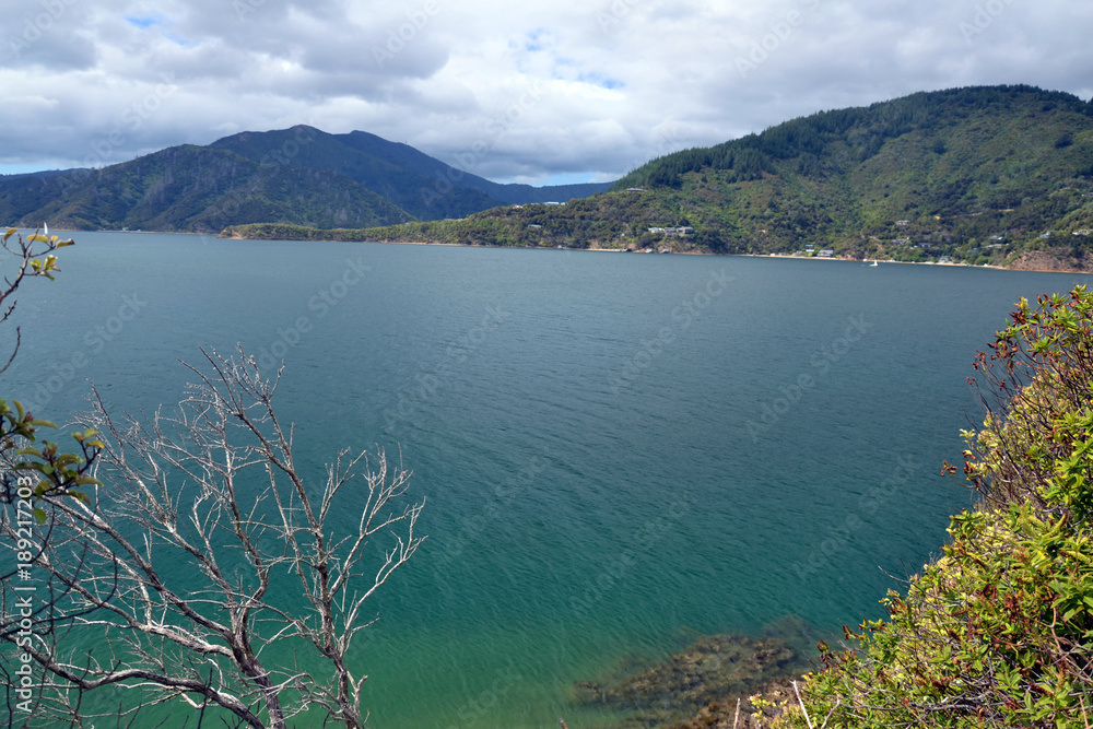 Obraz premium Marlborough Sounds