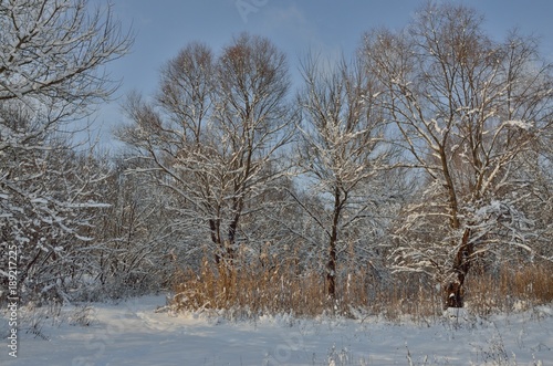 winter