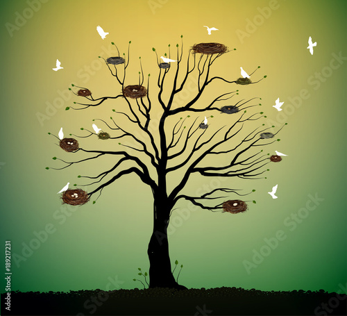 big tree with many nests and flock of white birds flying, return to the nature home idea, spring nesting,