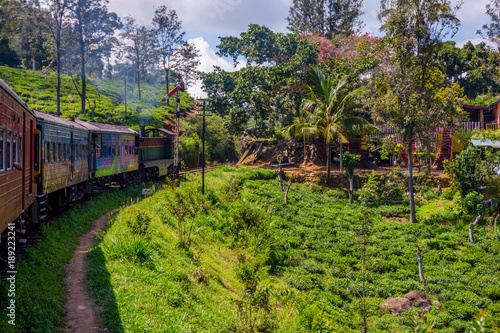 By train over tea plantation, Sri Lanka