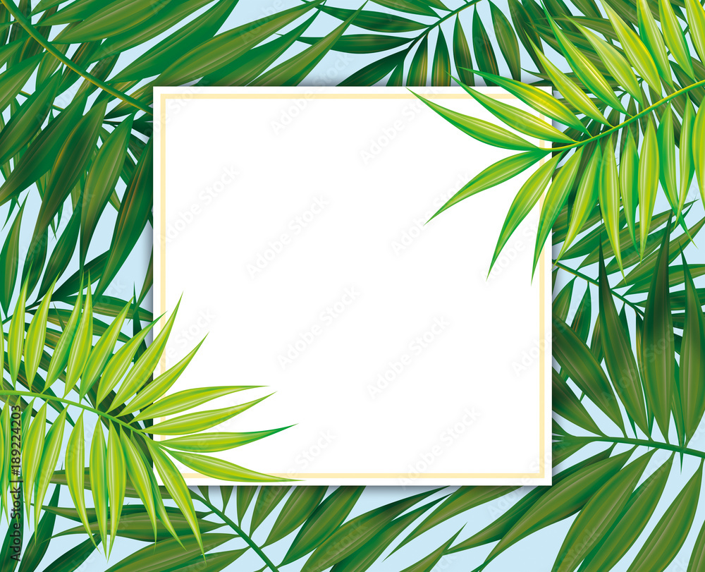 Fototapeta premium Palm leaves, Tropical Exotic plants Square frame, botanical illustration. Template for greeting card, wedding invitations, banner, poster. Border for advertising tours, summer vacation, holidays
