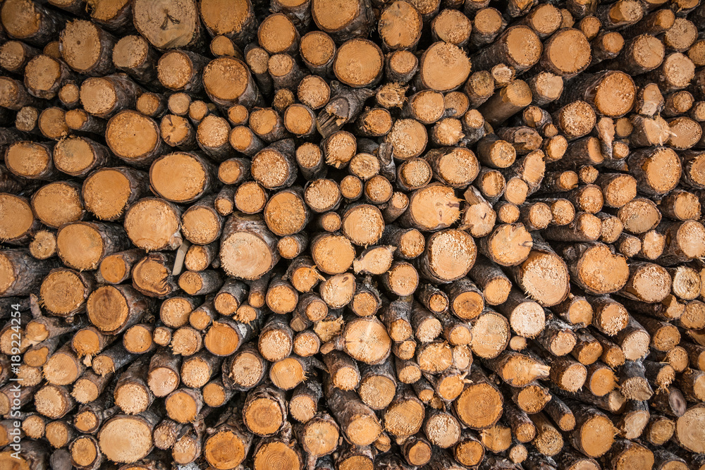 Getting energy by burning wood has been classed as a renewable energy source Getting energy by burning wood has been classed as a renewable energy source