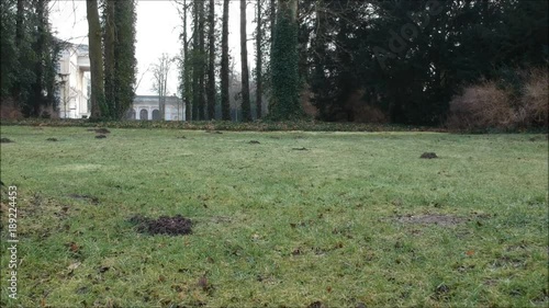 Drohne Wörlitz Park Weltkulturerbe Frühling Bäume rückwärts Laub