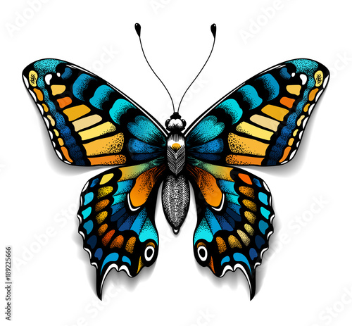 Beautiful tattoo for your chest. Blue Machaon butterfly. Tropical realistic butterfly with shadow. Female symbol