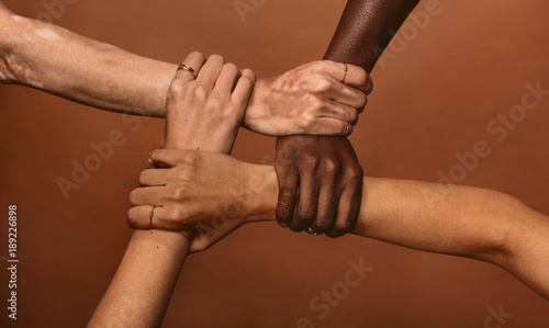 Fotografie Unity in diversity