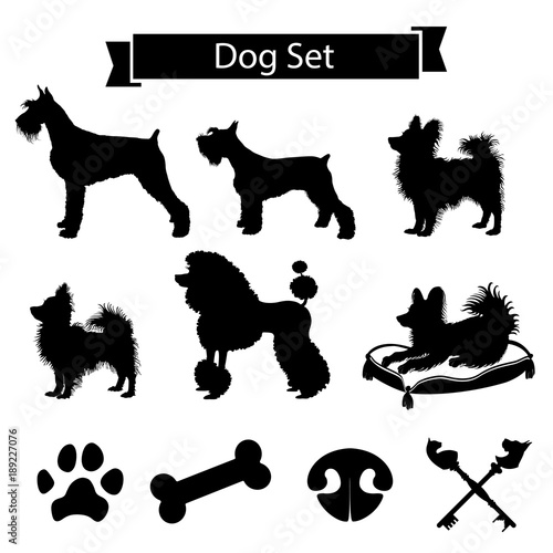 Set of dog related images. Riesenschnauzer, zwergschnauzer, papillon, phalene and poodle. Icons of dog paw, nose and bone. Vector Illustration