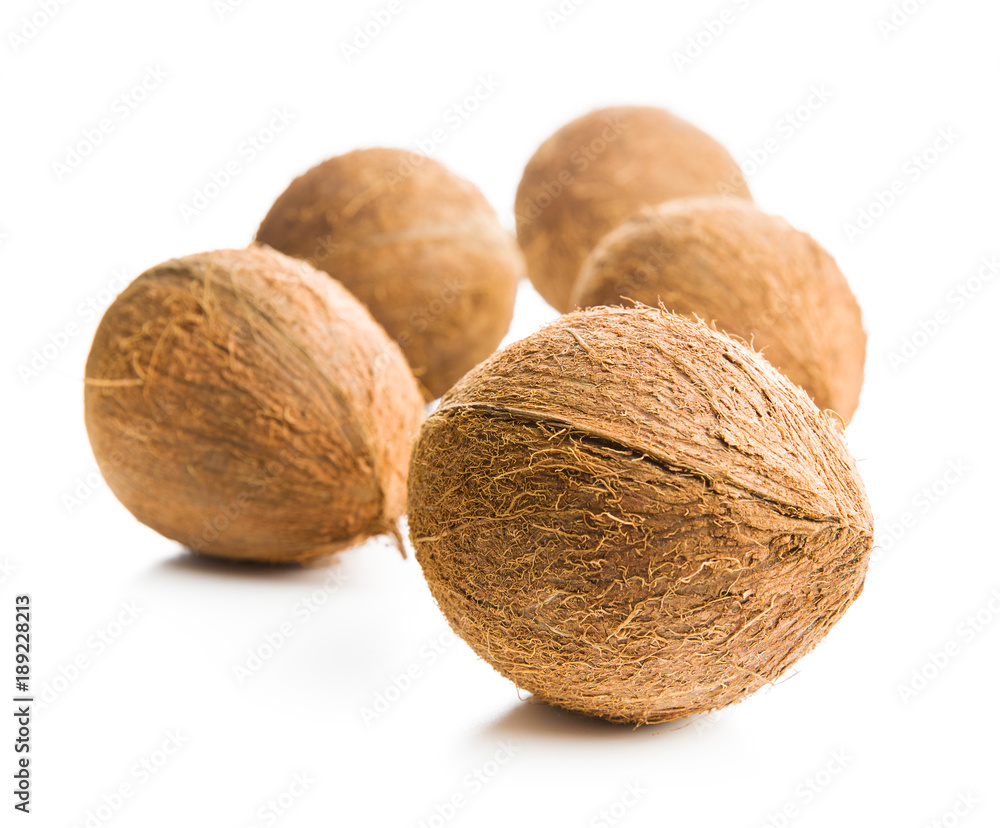 The whole coconuts. The whole coconuts.