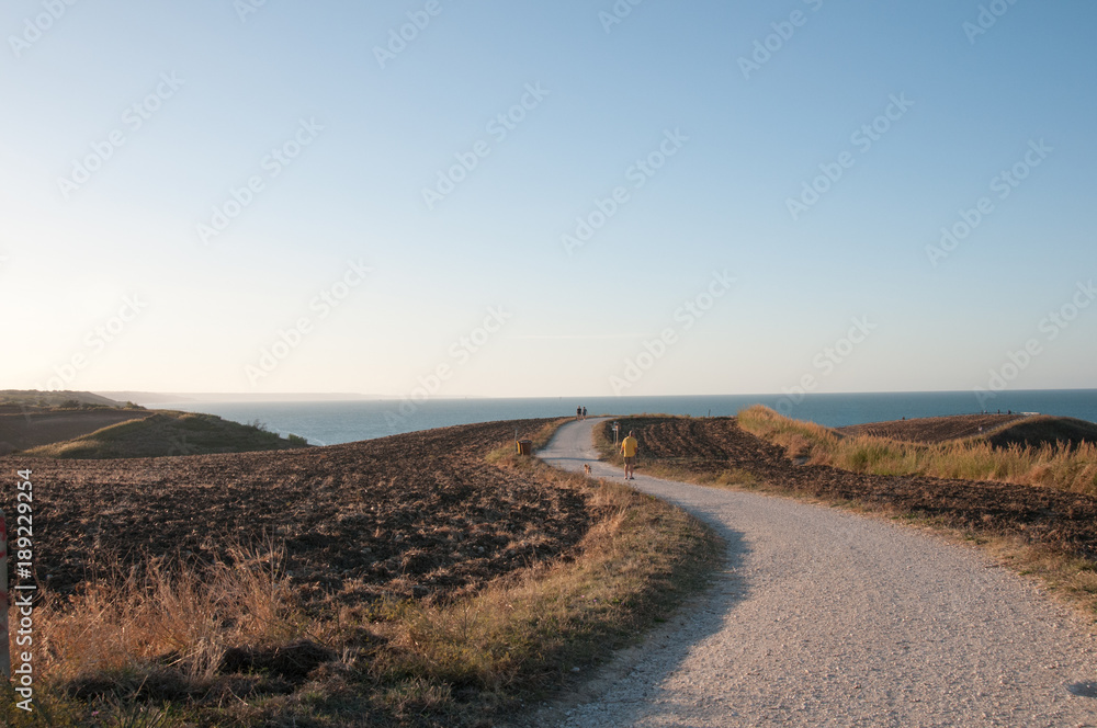 sentiero che attraversa la riserva naturale di punta aderci che posta fino alla spiaggia. 