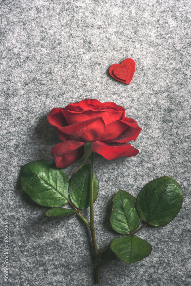 One Rimantic Rose Romantic Single Rose