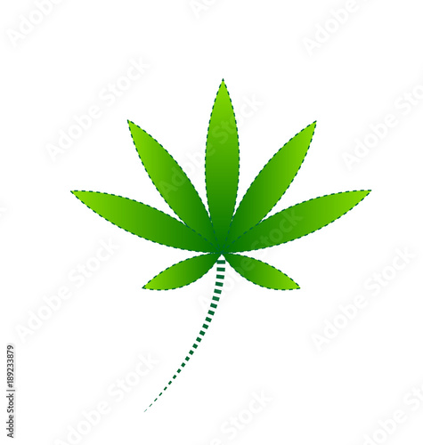 Cannabis green leaf vector