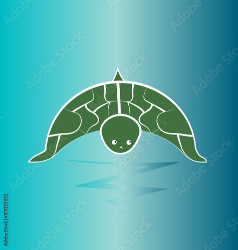 Turtle wildlife, preservation vector