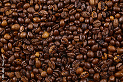 Coffee beans  Grains of coffee background  texture