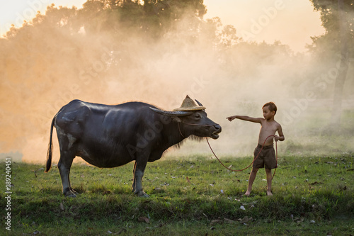 Boy and buffalo