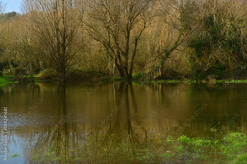 Grouville Common, Jersey, U.K.
Telephoto image of a Winter flood plain. Grouville Common, Jersey, U.K.
Telephoto image of a Winter flood plain.