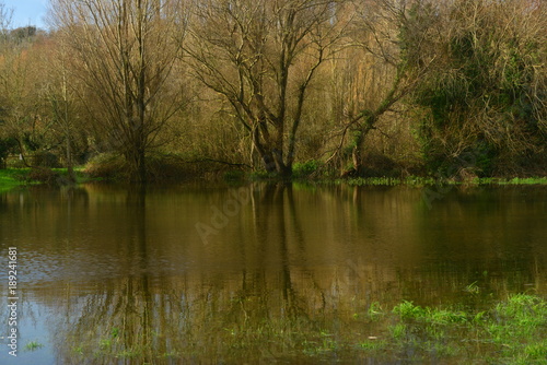 Grouville Common, Jersey, U.K. Telephoto image of a Winter flood plain.
