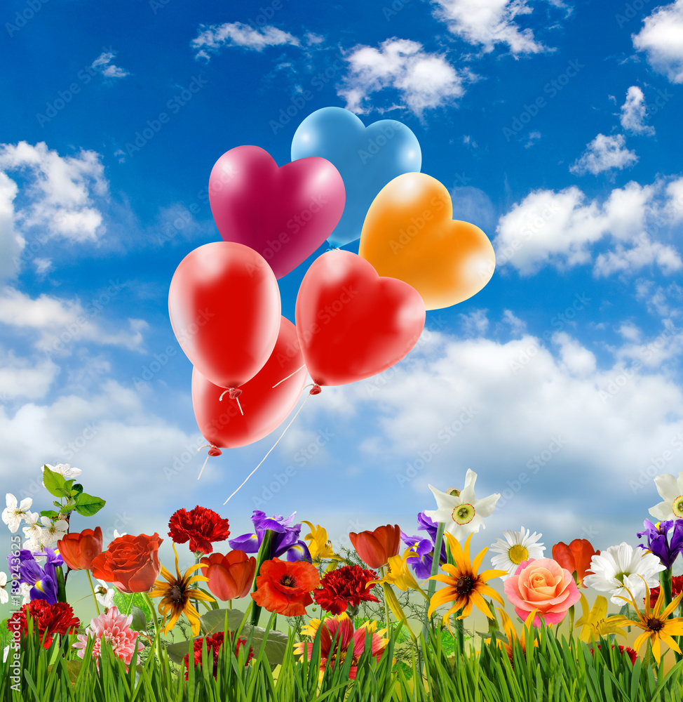 Beautiful bouquet of different flowers on a sky background Beautiful bouquet of different flowers on a sky background