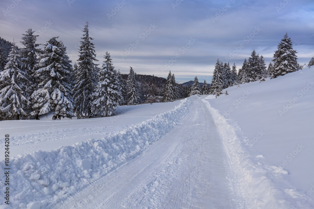 rustic road in winter