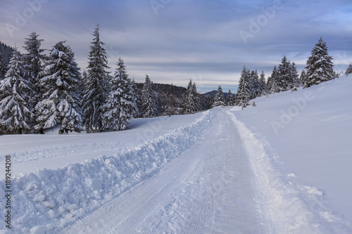 rustic road in winter © porojnicu