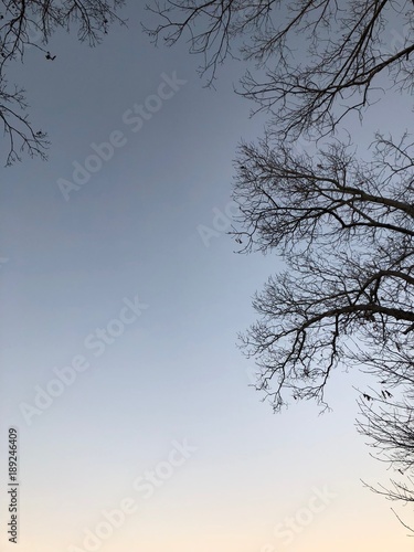 silhouette