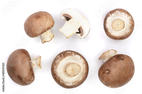 Fresh champignon mushrooms isolated on white background. Top view. Flat lay