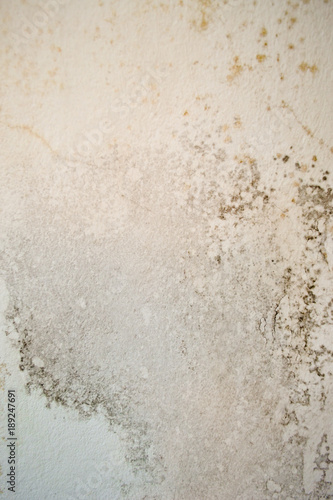 Cracked white wall with traces of moisture, mold and fungus