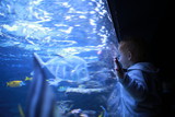 Boy looking at fish in aquarium