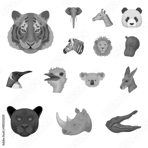 Wild animal monochrome icons in set collection for design. Mammal and bird vector symbol stock web illustration. photo