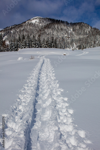 Der Weg ist das Ziel photo