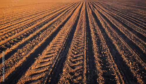Εκτύπωση καμβά Rows of soil before planting