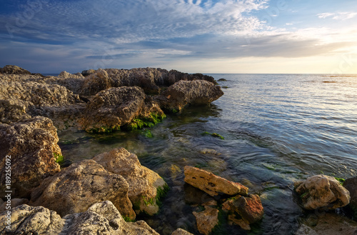 Beautiful landscape with stones and moss in the sea at sunset in the Crimea
