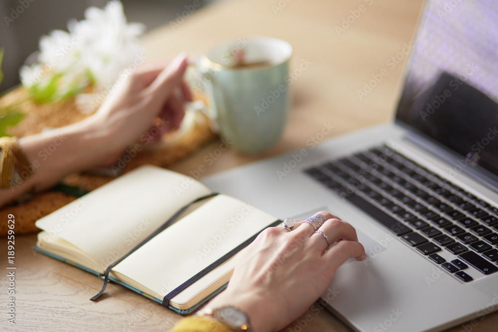 Young woman on a coffee break or enjoying the coffee-break, Using laptop computer
